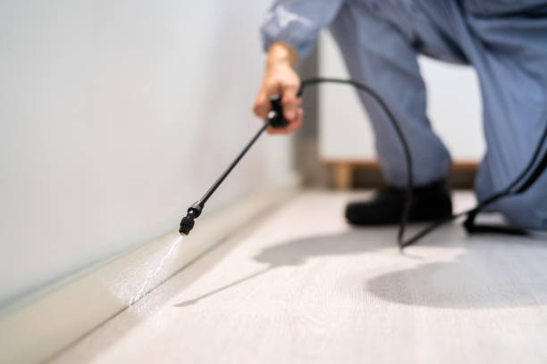Bed Bug Pre-Treatment Preparation Assessment in New Athens