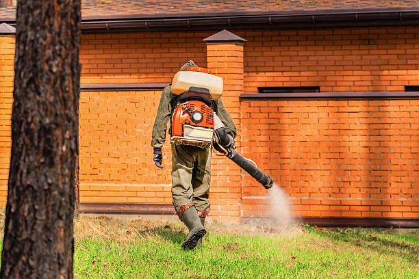 Bed Bug Clearance Verification and Documentation in New Athens